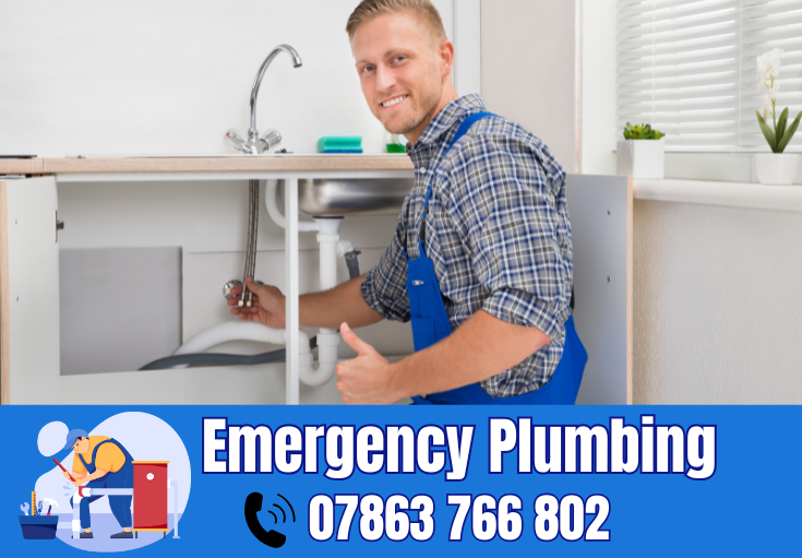  plumber Longford