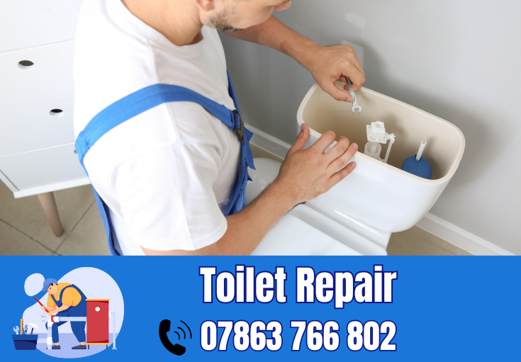 toilet repair Winwick